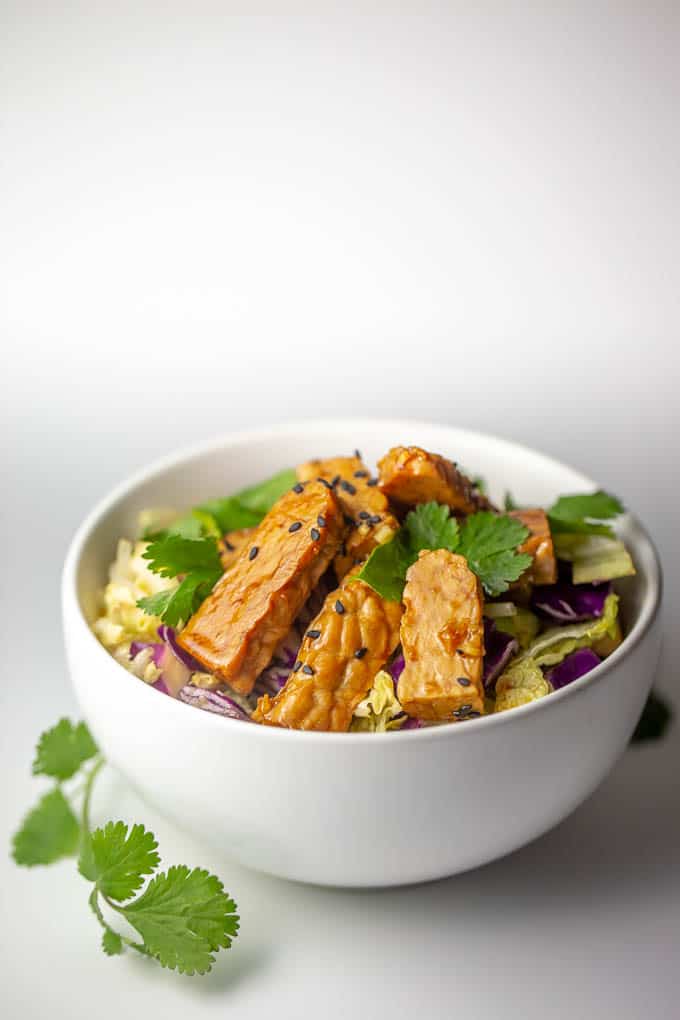 This raw vegan tempeh salad is low carb and packed wtih cancer fighting nutrients