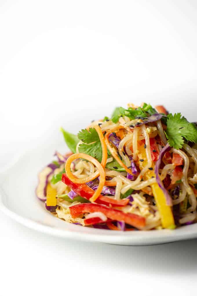 Raw Vegan Keto Thai Peanut Free Noodle Salad