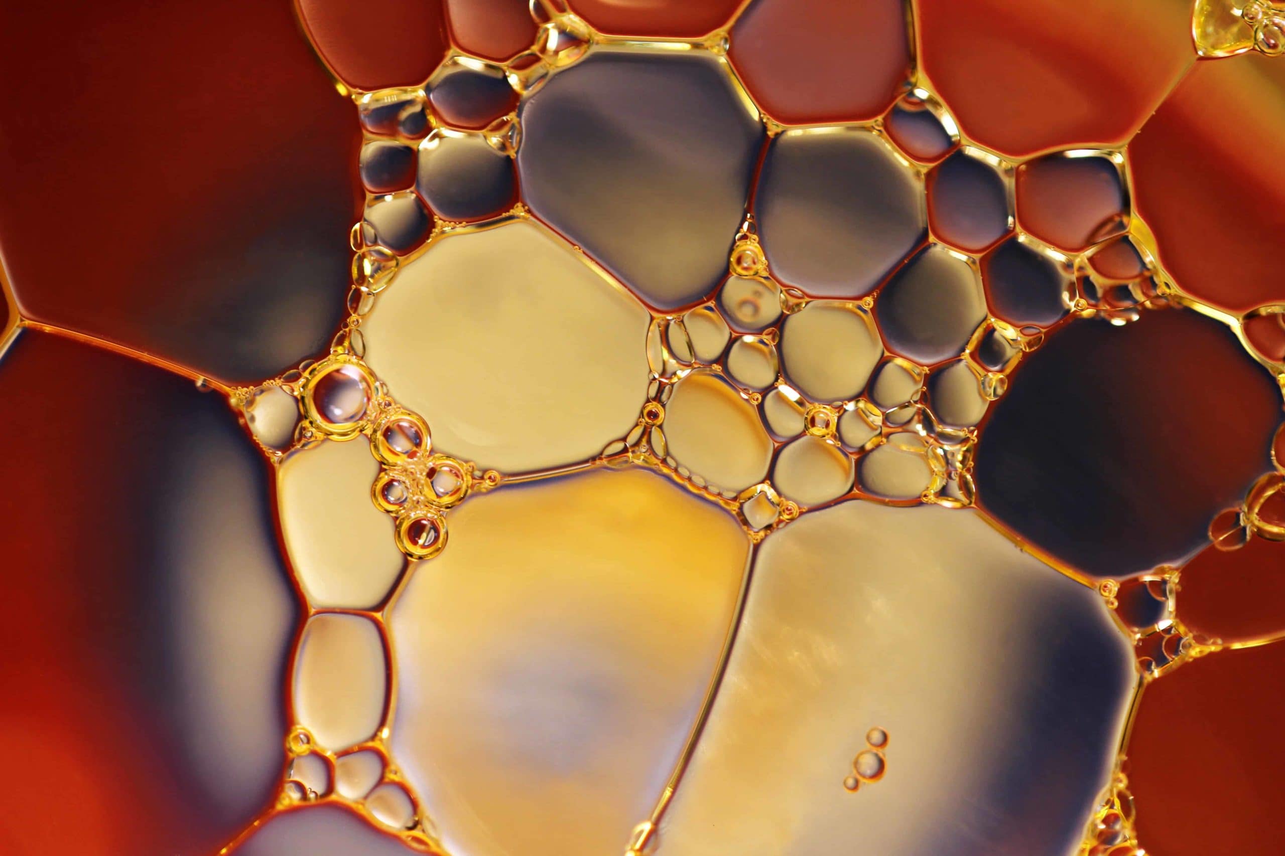 Oil bubbles in water