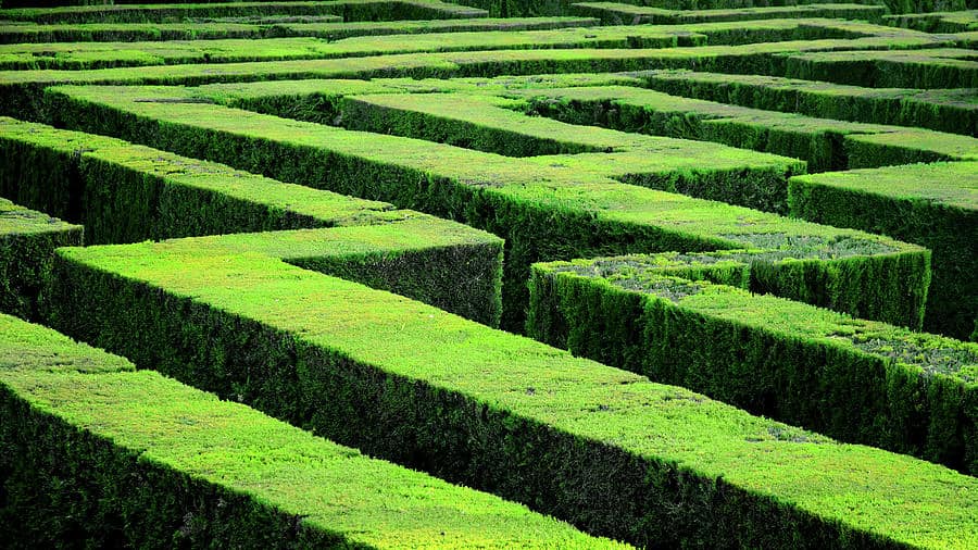 Hedge Maze