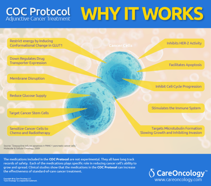 Care Oncology Clinic Protocol