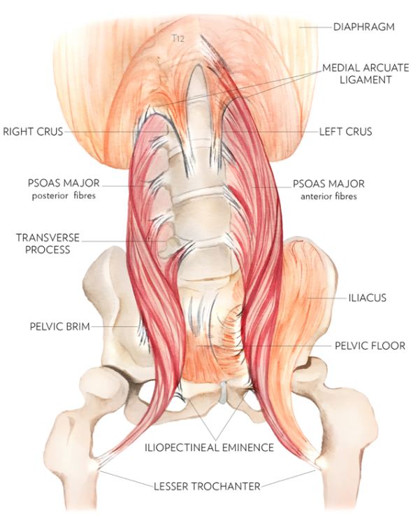 Core Exercises: 5 Ways To Strengthen Your Core (And Why You Should)