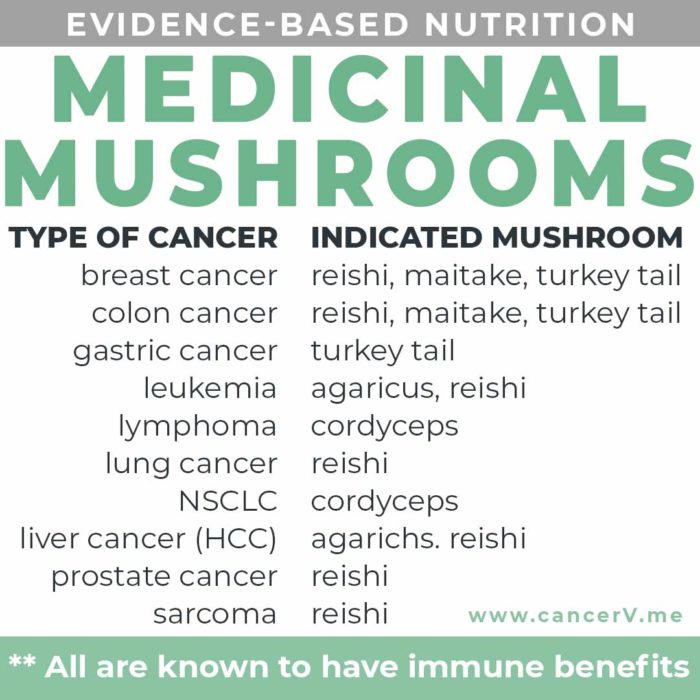 Most effective medicinal mushroom by cancer type