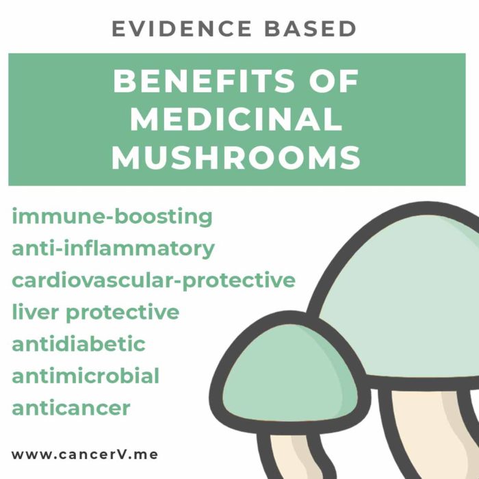 Benefits of medicinal mushrooms for cancer include antimicrobial, 
anti-inflammatory, immune-boosting, cardiovascular-protective, anti-diabetic, liver protective, anticancer