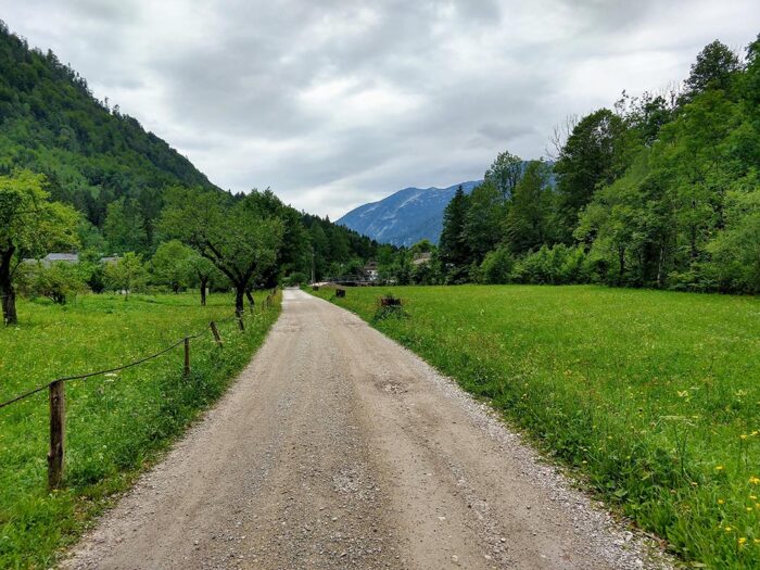 Path in Ebensee August 2020