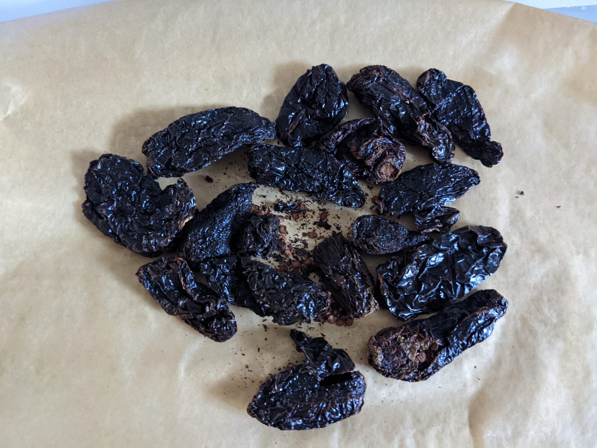 Make Your Own Easy Organic Chipotles in Adobo Sauce cancerV.me